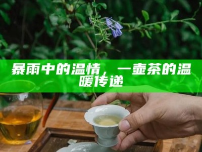 暴雨中的温情，一壶茶的温暖传递