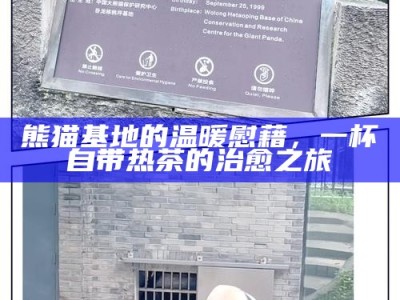 熊猫基地的温暖慰藉，一杯自带热茶的治愈之旅