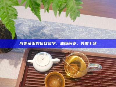 成都茶馆的包容哲学，壶随茶变，共融于味