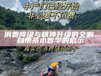 消费降级与精神升级的交响，自带茶水哲学的启示