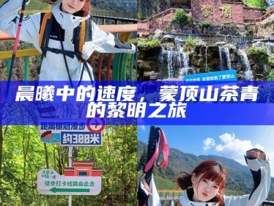 晨曦中的速度，蒙顶山茶青的黎明之旅