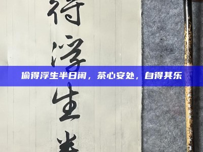偷得浮生半日闲，茶心安处，自得其乐