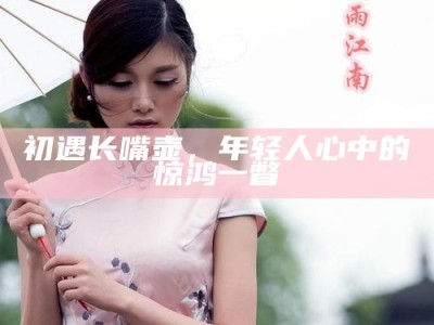 初遇长嘴壶，年轻人心中的惊鸿一瞥