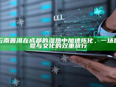 云南普洱在成都的湿热中加速陈化，一场味觉与文化的双重旅行