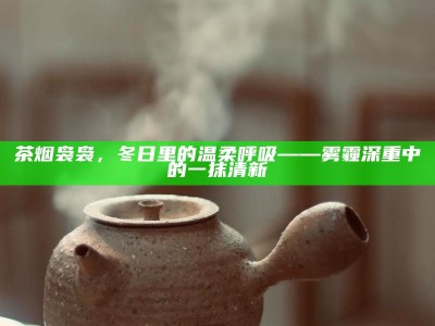 茶烟袅袅，冬日里的温柔呼吸 —— 雾霾深重中的一抹清新