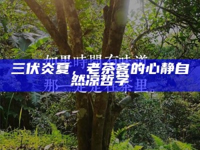三伏炎夏，老茶客的心静自然凉哲学