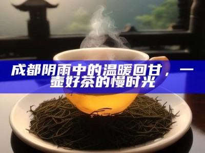 成都阴雨中的温暖回甘，一壶好茶的慢时光