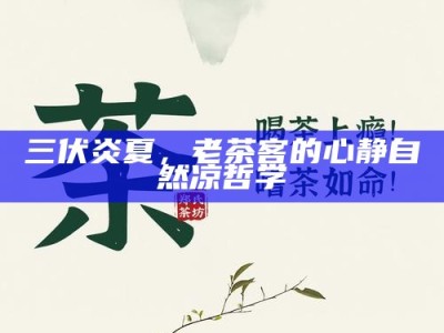 三伏炎夏，老茶客的心静自然凉哲学