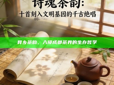 异乡茶韵，入侵成都茶界的生存哲学