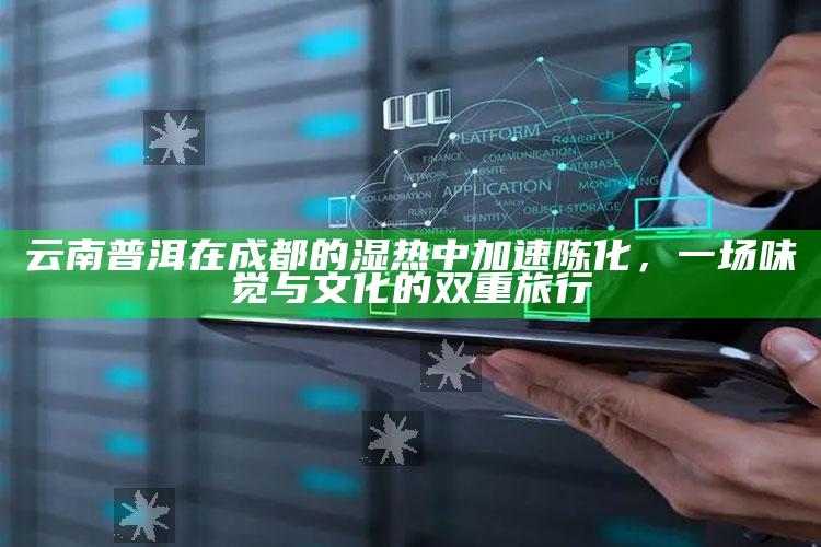 云南普洱在成都的湿热中加速陈化，一场味觉与文化的双重旅行