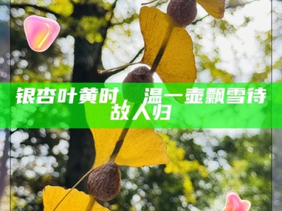 银杏叶黄时，温一壶飘雪待故人归