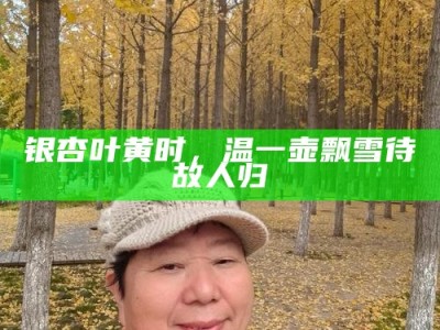 银杏叶黄时，温一壶飘雪待故人归