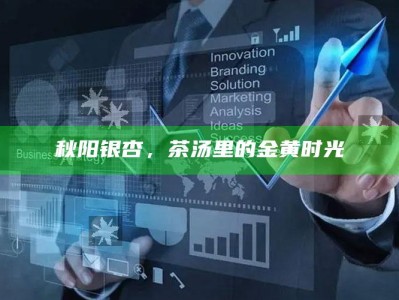 秋阳银杏，茶汤里的金黄时光