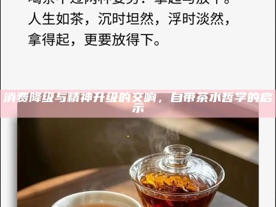 消费降级与精神升级的交响，自带茶水哲学的启示