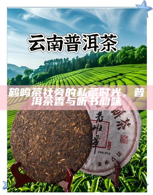 鹤鸣茶社旁的私藏时光，普洱茶香与听书韵味
