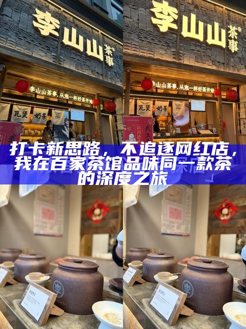 打卡新思路，不追逐网红店，我在百家茶馆品味同一款茶的深度之旅
