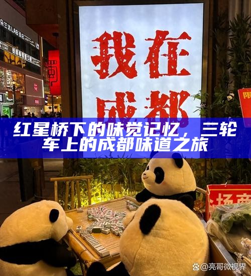 红星桥下的味觉记忆，三轮车上的成都味道之旅