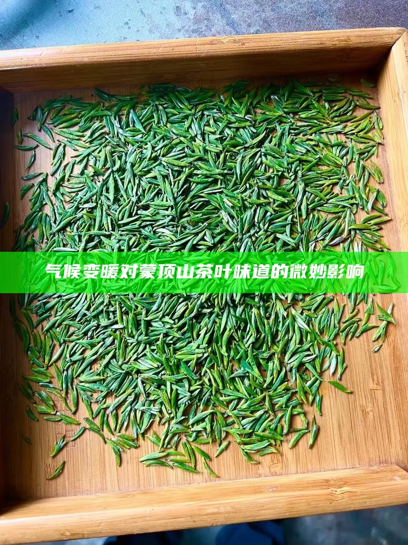 气候变暖对蒙顶山茶叶味道的微妙影响