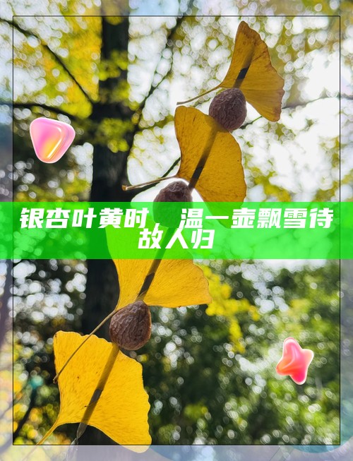 银杏叶黄时，温一壶飘雪待故人归