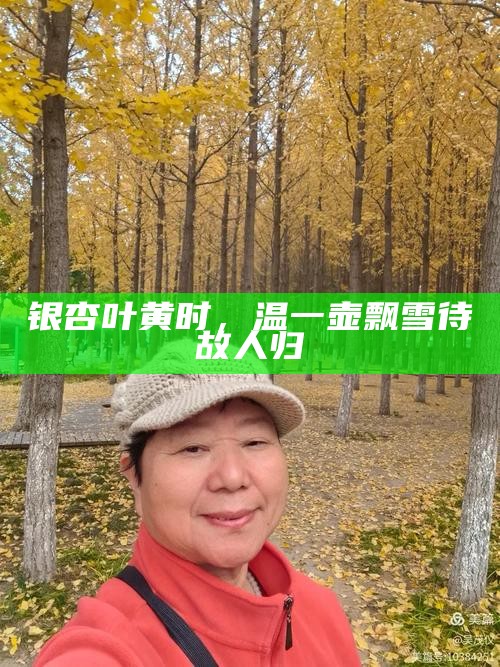 银杏叶黄时，温一壶飘雪待故人归