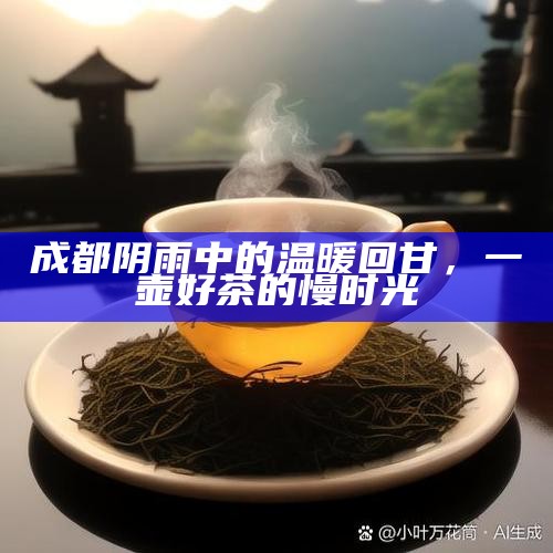 成都阴雨中的温暖回甘，一壶好茶的慢时光