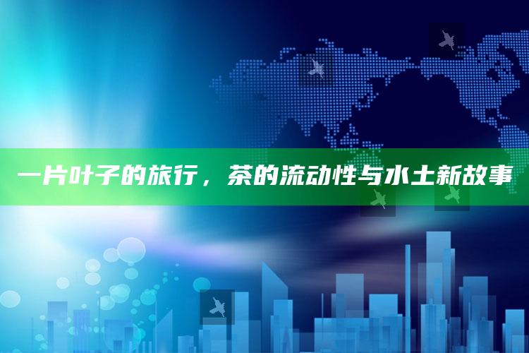 一片叶子的旅行，茶的流动性与水土新故事
