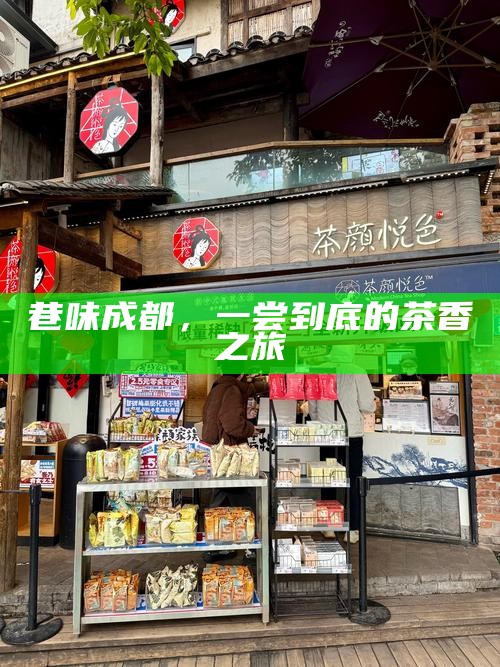 巷味成都，一尝到底的茶香之旅