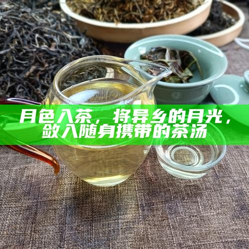 月色入茶，将异乡的月光，敛入随身携带的茶汤