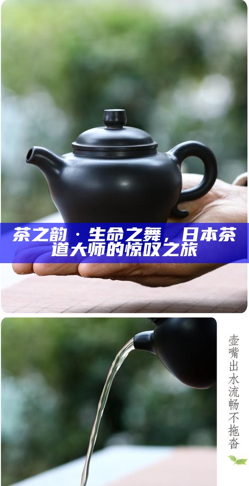 茶之韵·生命之舞，日本茶道大师的惊叹之旅