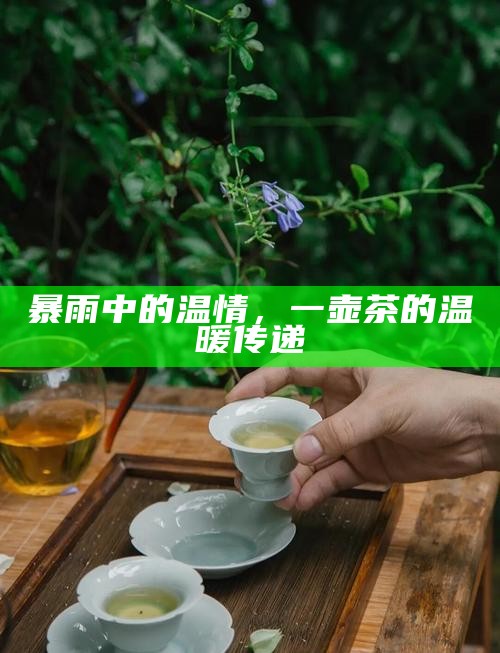 暴雨中的温情，一壶茶的温暖传递