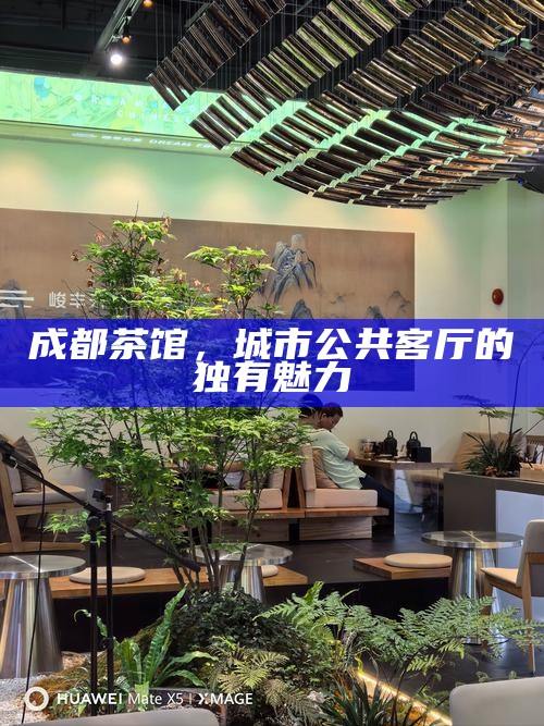 成都茶馆，城市公共客厅的独有魅力