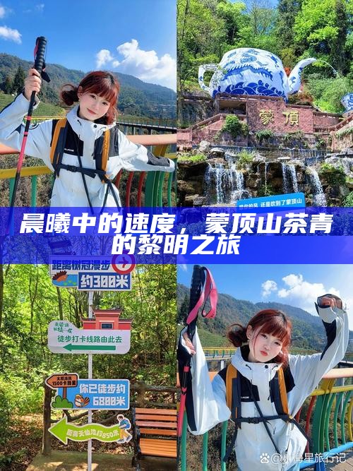 晨曦中的速度，蒙顶山茶青的黎明之旅