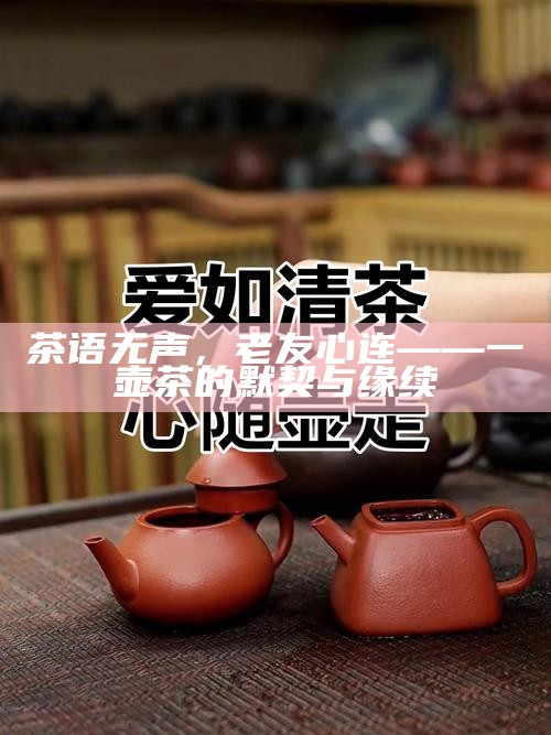 茶语无声，老友心连——一壶茶的默契与缘续