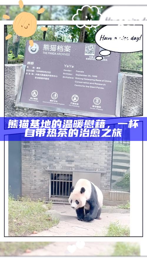 熊猫基地的温暖慰藉，一杯自带热茶的治愈之旅